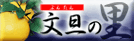 ���U�̗�