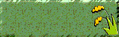 �劃�����F��