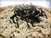 ���邻�΁@�t���[�f�މ�Hoshino