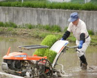 田植え機を使って田植えをする様子